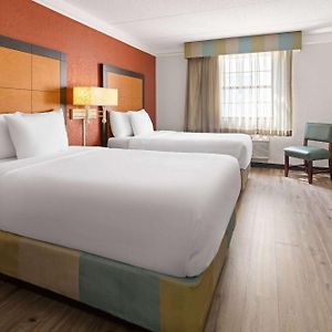 Double Room Two Double Beds