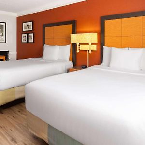 2 Double Beds Mobility Accessible Room Roll Shower Non-Smoking